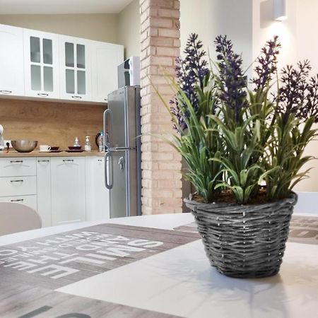 Old Town City Center Apartment Roese Buitenkant foto